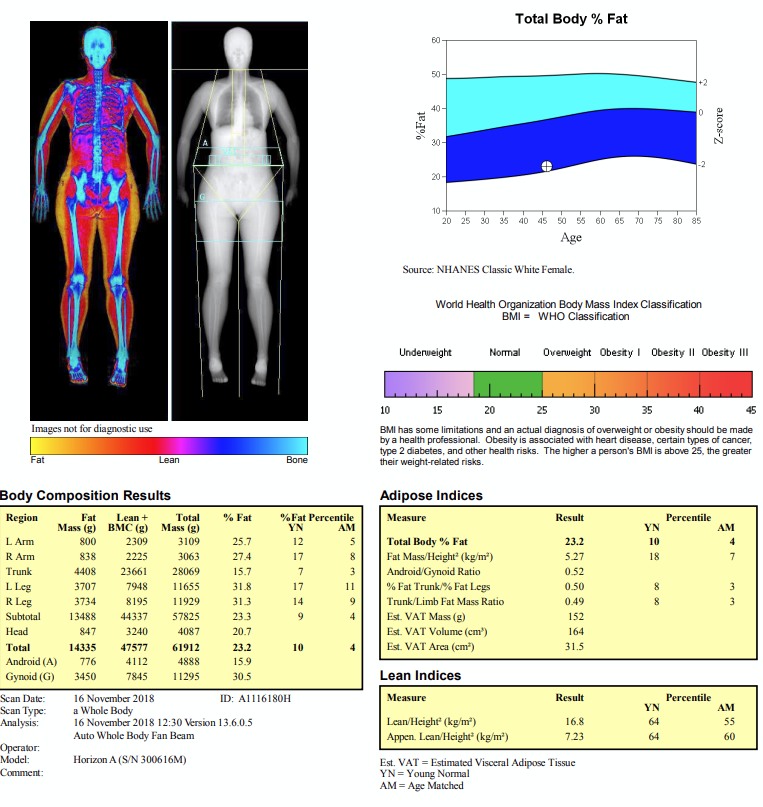 DXA Adipose.png