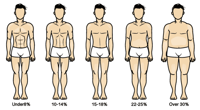 bodyfat-visual-reference-men.gif