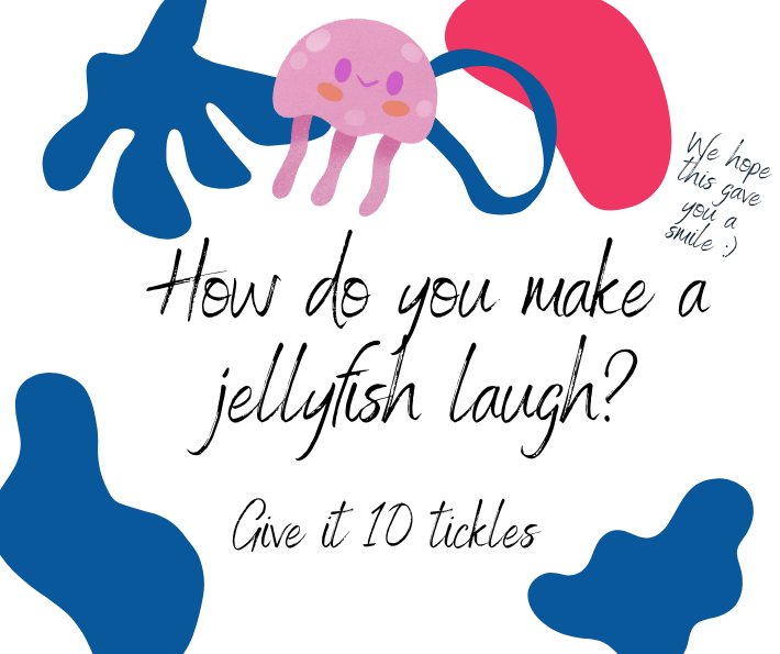 jellyfish.png