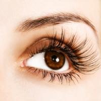 eye_long_lash-1.jpg